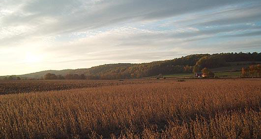 Photograph of a field in Oley Township in the fall