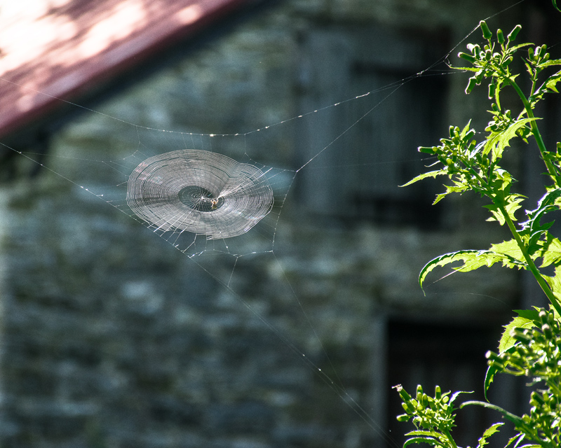 Photograph of Kauffman Farm established in Berks County Pennsylvania in 1726 by Jeff Zehr