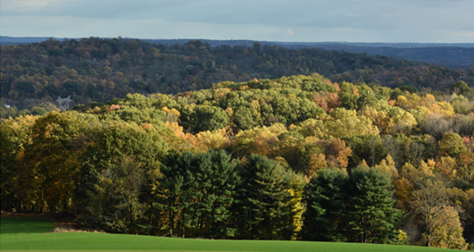 Fall Pike Township view